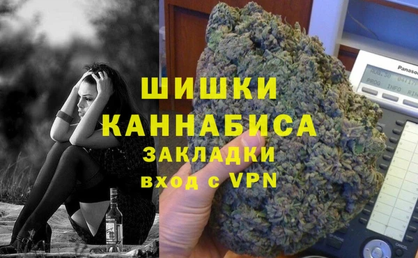 прущие грибы Протвино