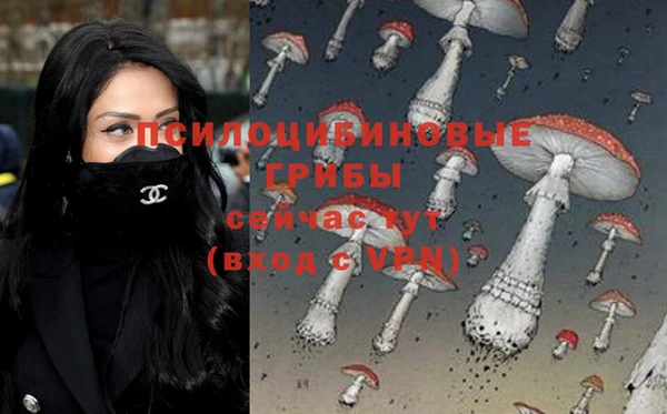 кокаин премиум Пролетарск