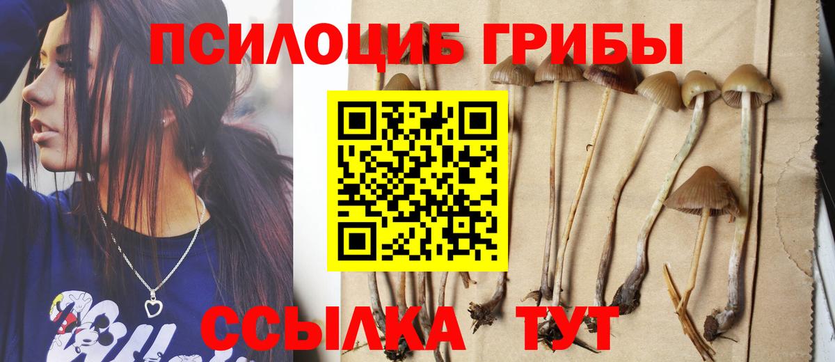 Псилоцибиновые грибы мухоморы Ижевск