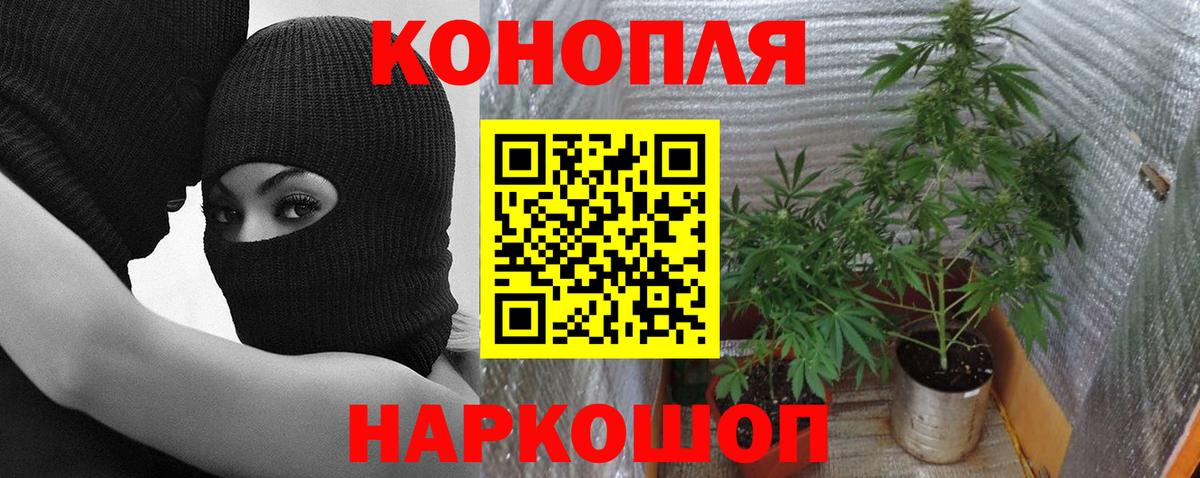 Бошки Шишки гибрид Ижевск